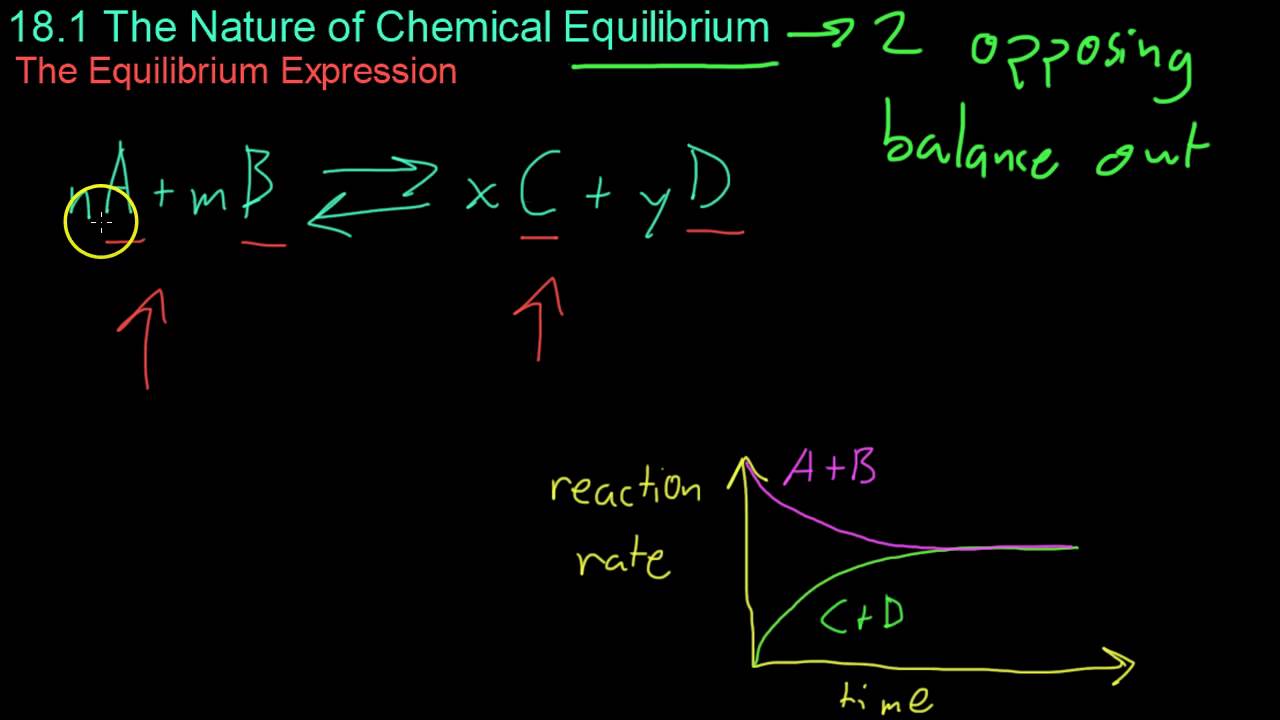 18.1 The Nature of Chemical Equilibrium