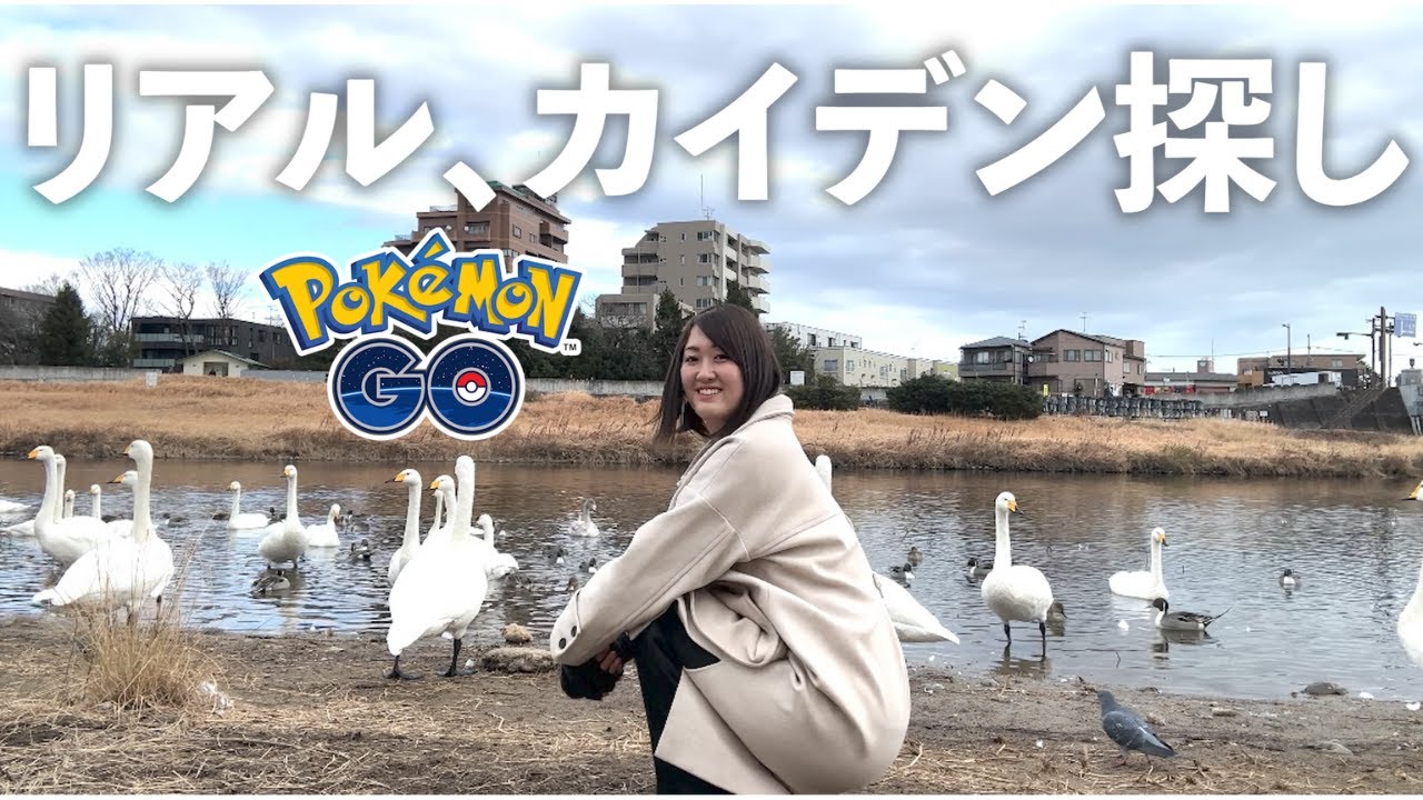 リアル、カイデン探しをしながらタマゴ激割。【ポケモンGO】