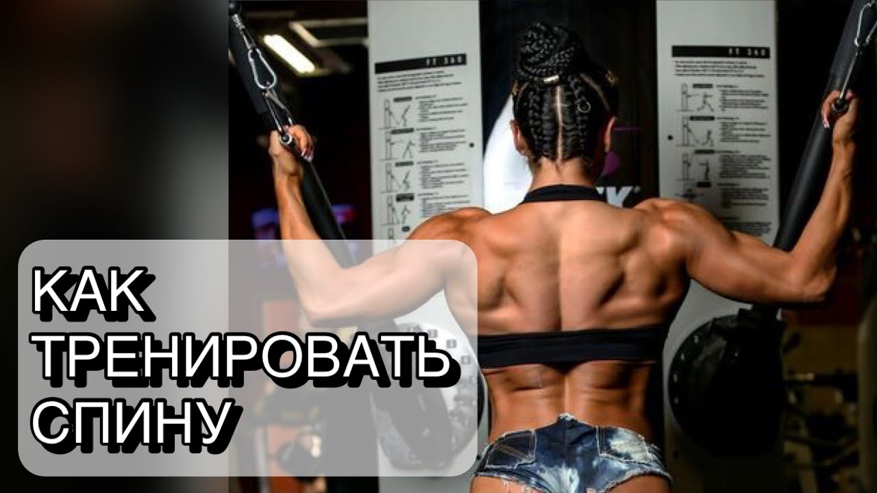 Как тренировать спину? Почему я не чувствую мышцы спины на тренировках? #спина #тренировка #тренер