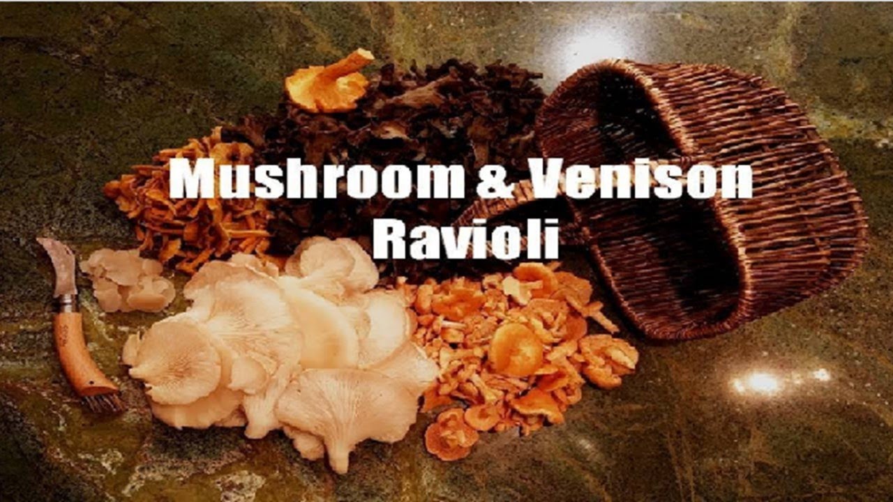 Mushroom Foraging in NORTHERN CALIFORNIA!