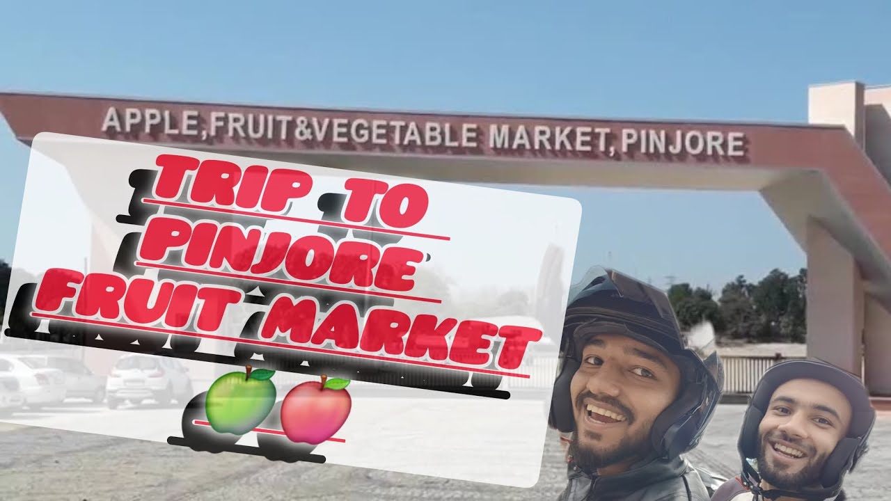 Asia largest fruit mandi l Pinjore fruit market l Pinjore seb mandi