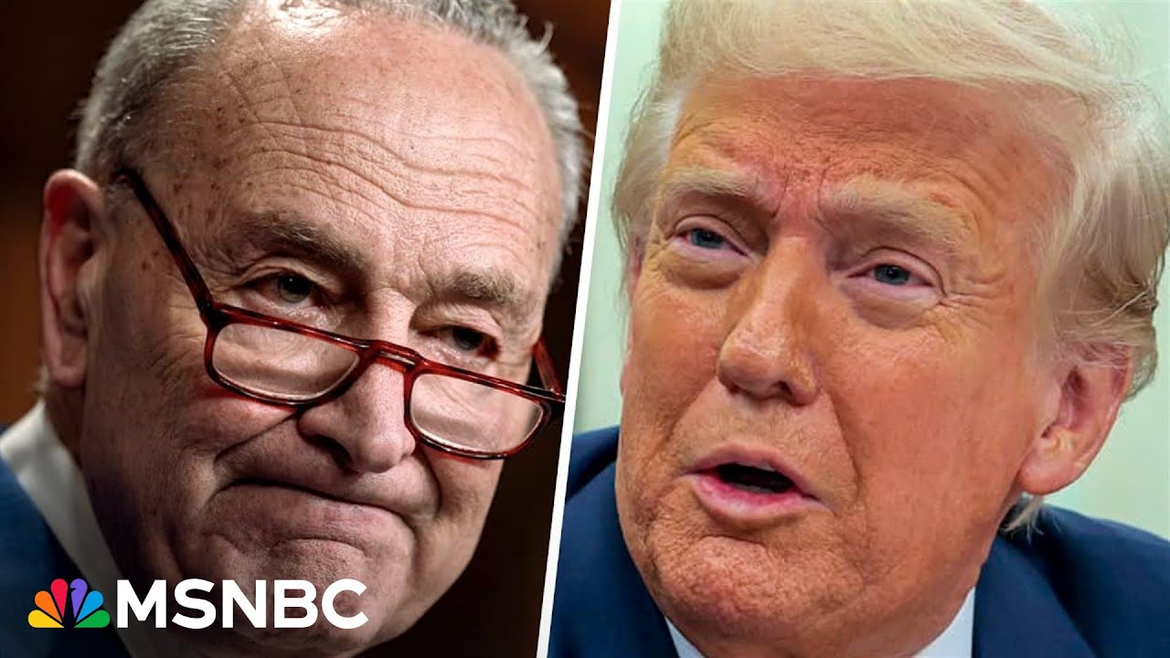 Senate Dems block legislation to pay govt. workers due to fear it would give Trump more power
