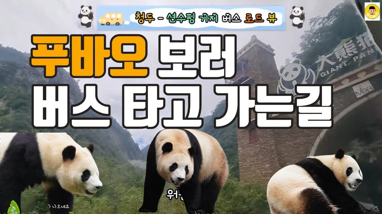 중국 청두 시내에서 푸바오가 있는 워롱 션수핑 기지 버스 로드 뷰~