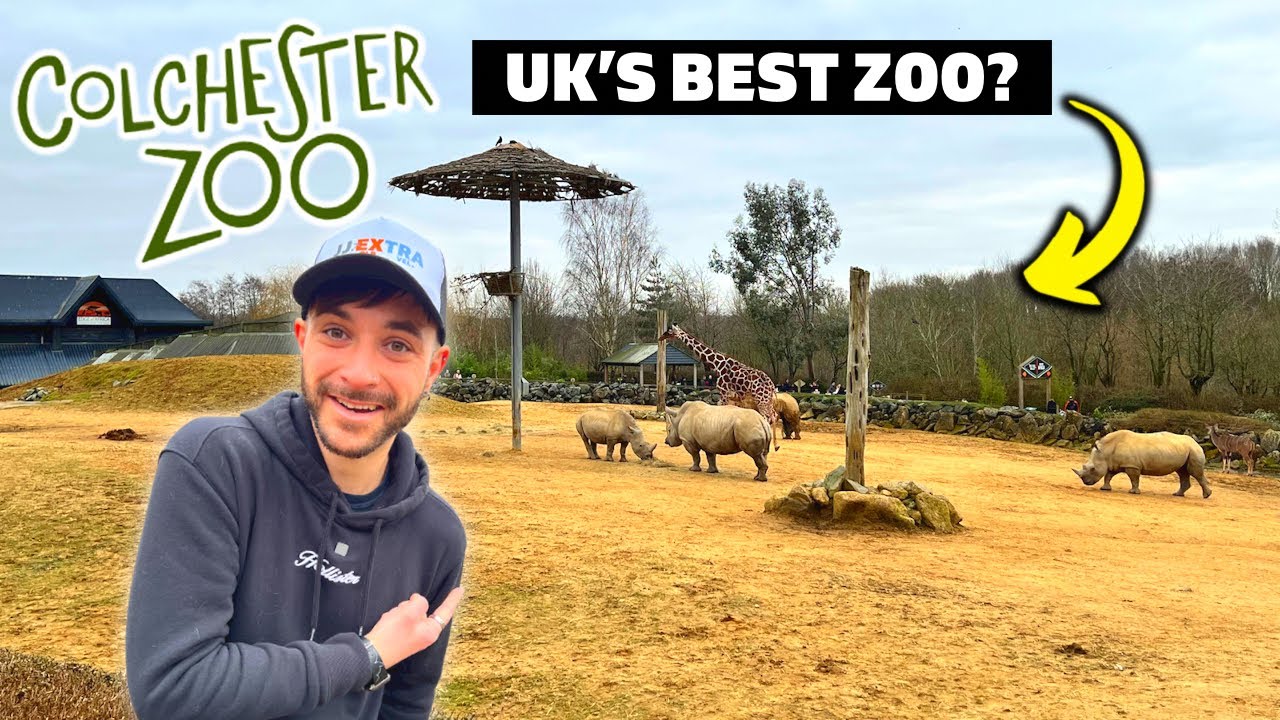 Why You SHOULD Visit Colchester Zoo