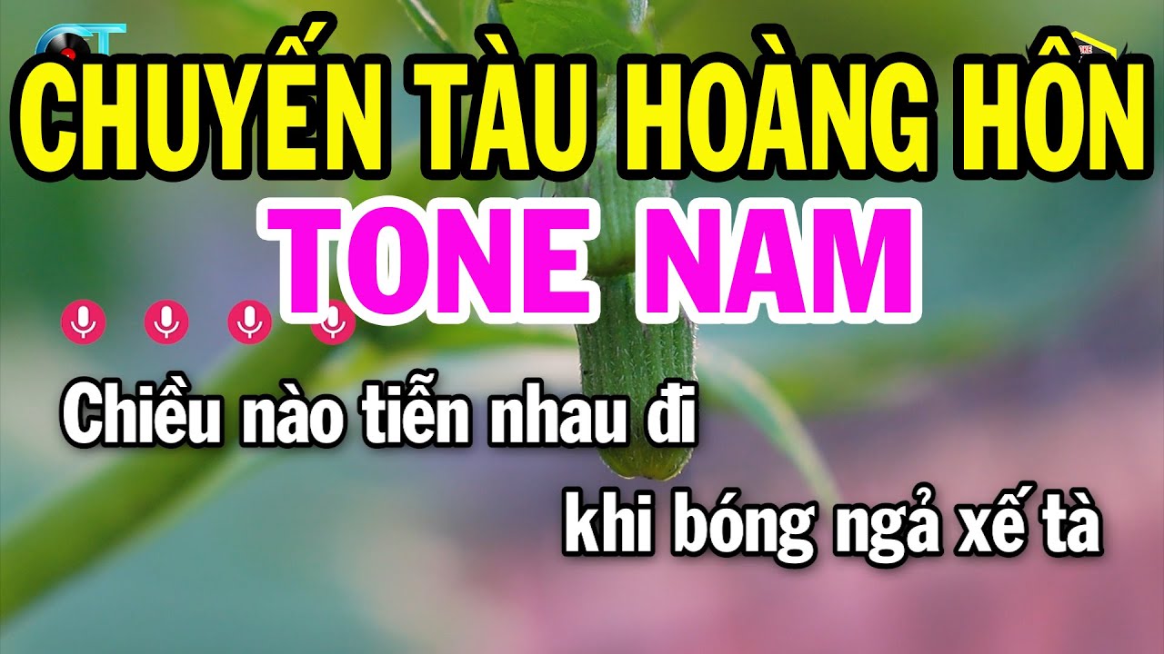 Karaoke Chuyến Tàu Hoàng Hôn Tone Nam ( Rê Thứ ) Nhạc Sống Rumba Mới | Karaoke Bách Hóa