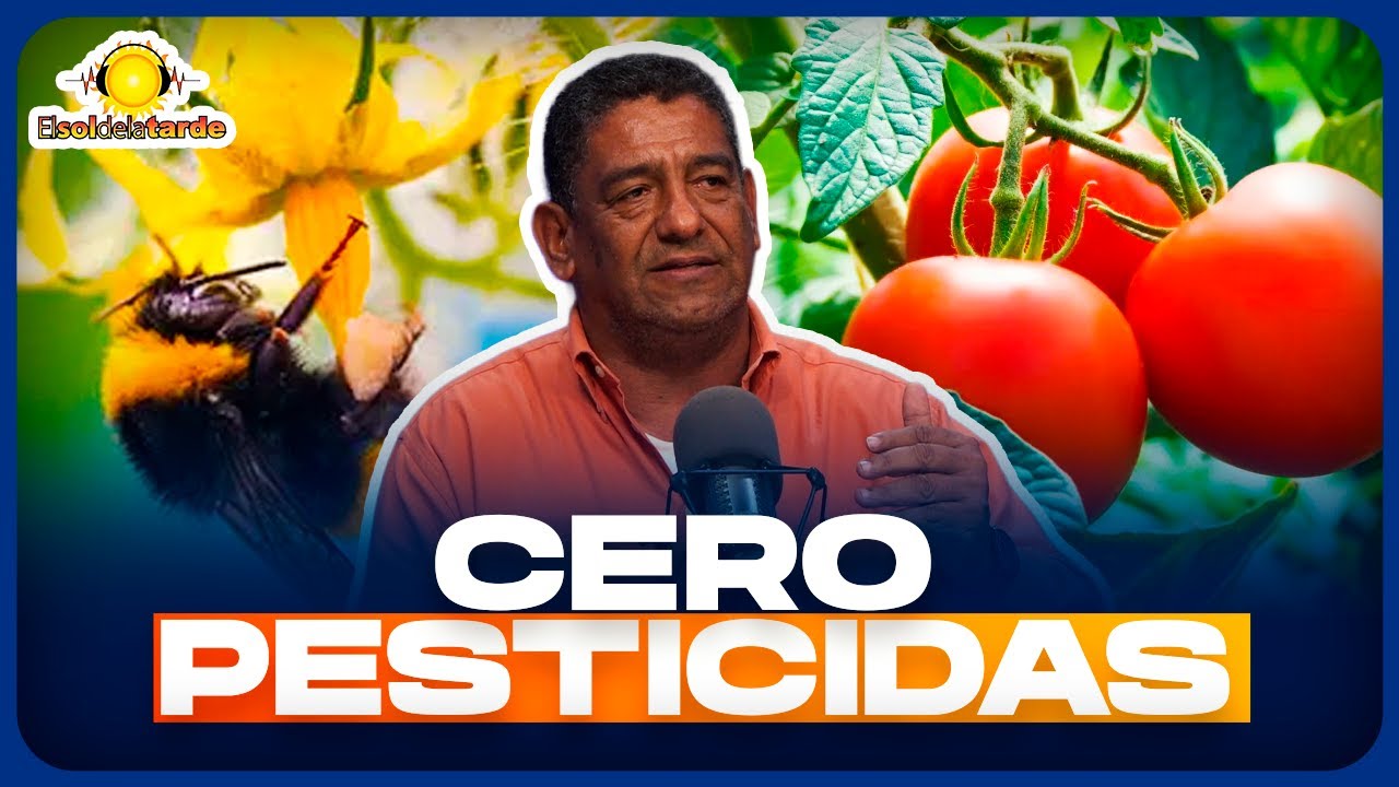 or qué rechazan vegetales dominicanos en el exterior y cómo solucionarlo