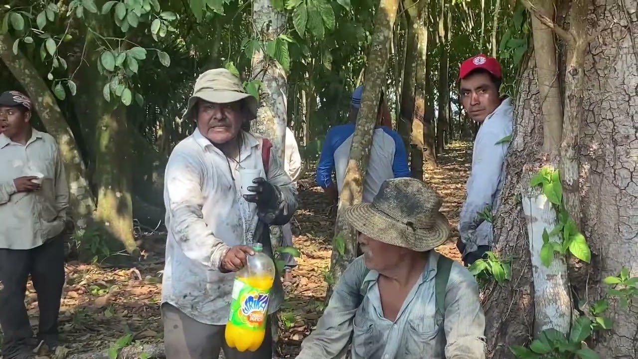 Lucho el Mago de los teclados/Pobrecito Cortador