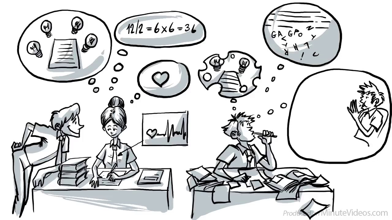 Executive Function  Brain's Control Center