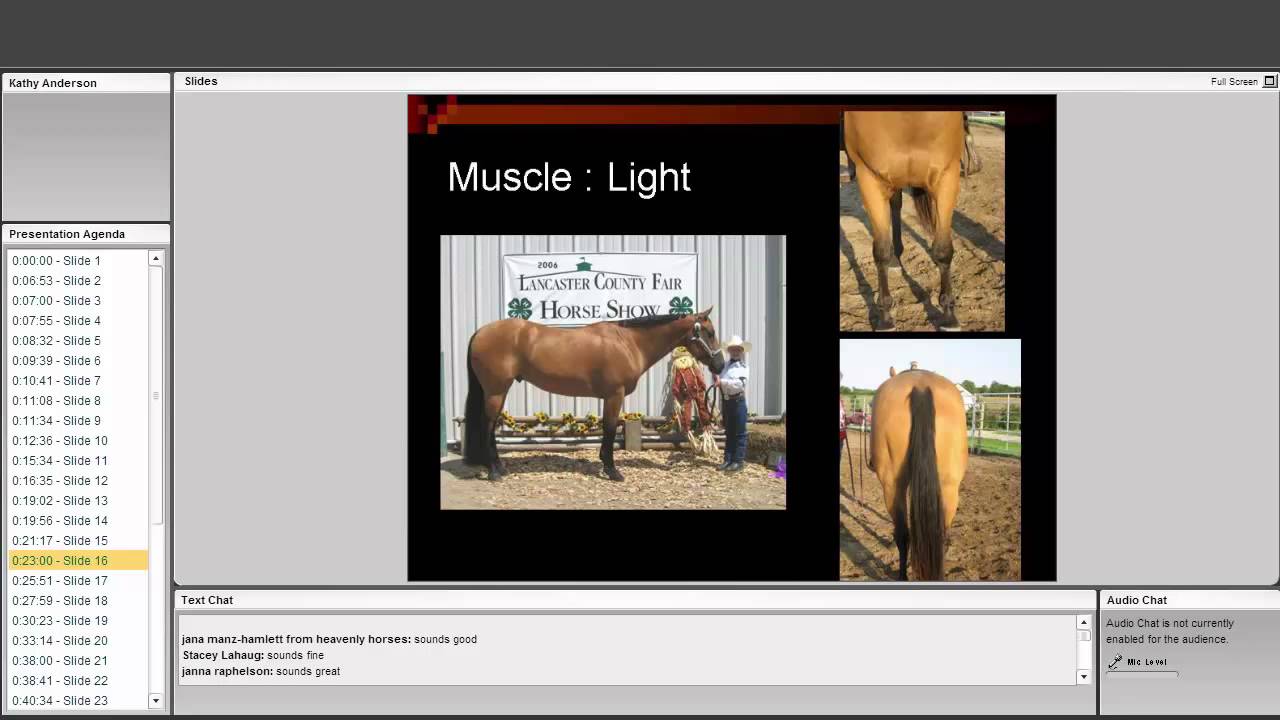 Conformation and Selection of Horses