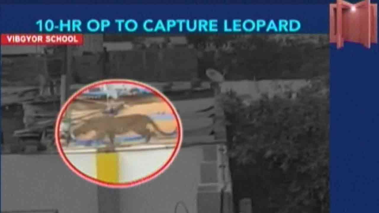 Caught On Camera: Leopard Enters Bangalore School