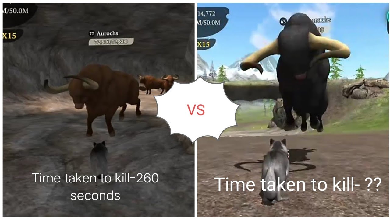 Black Aurochs vs Aurochs| Which Is Harder To Defeat? (2) | The Wolf