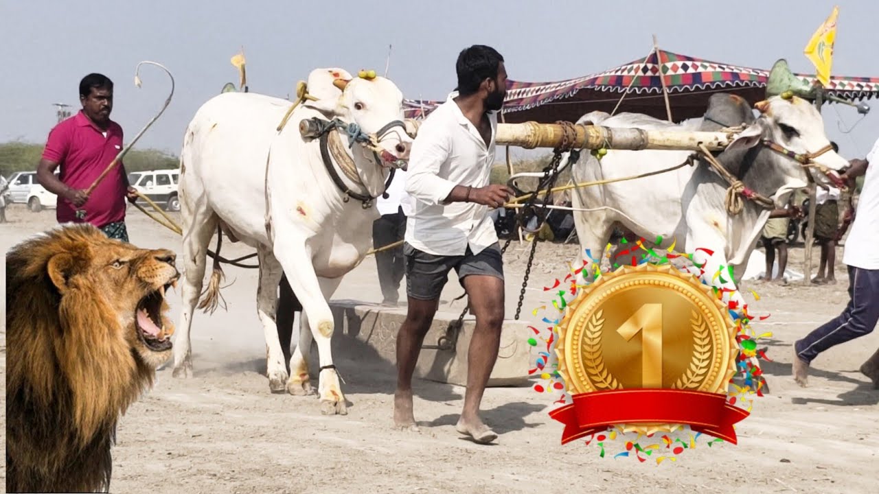 2026-ఒంటరిదిన్నె గ్రామం 4 పళ్ళు విభాగం 9వ జత 🥇పేరెడ్డిసంజీవరెడ్డి గారుకమ్మెన్ కె హేమలత గారు(5148.10)