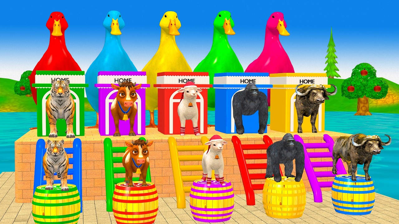 Long Slide Game With Cow Elephant Gorilla Hippopotamus Tiger - 3d Animal Game - Funny 3d Animals