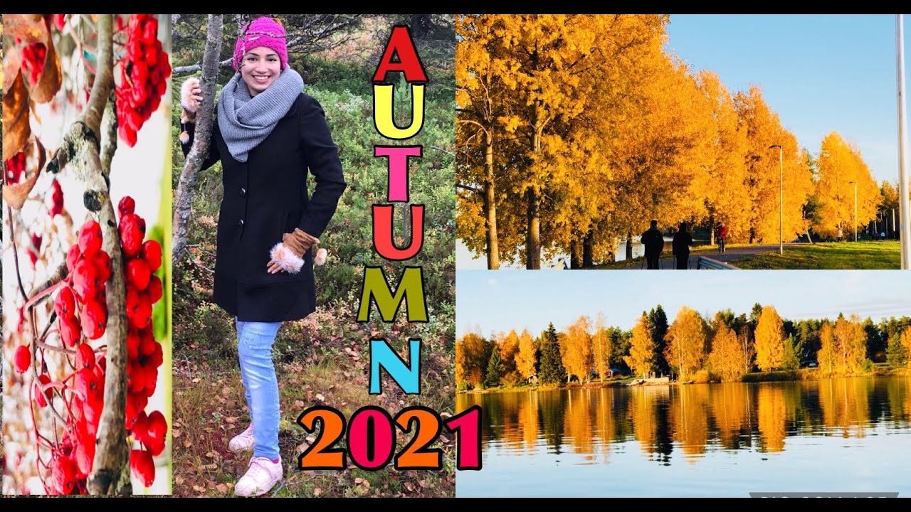 Beautiful AUTUMN Colors 🍂 | FALL FOLIAGE | RUSKA | Finnish Nature | FINLAND 🇫🇮