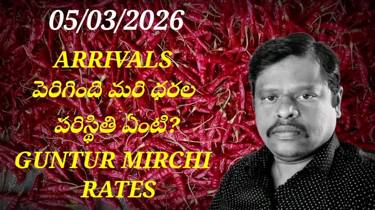 5 March 2026 ఈరోజు లక్ష పైనే మరి ధరల పరిస్థితి ఏంటి? GUNTUR MIRCHI MARKET RATES 