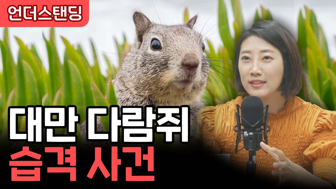 대만 다람쥐 습격 사건 (어예진 해담경제연구소장)