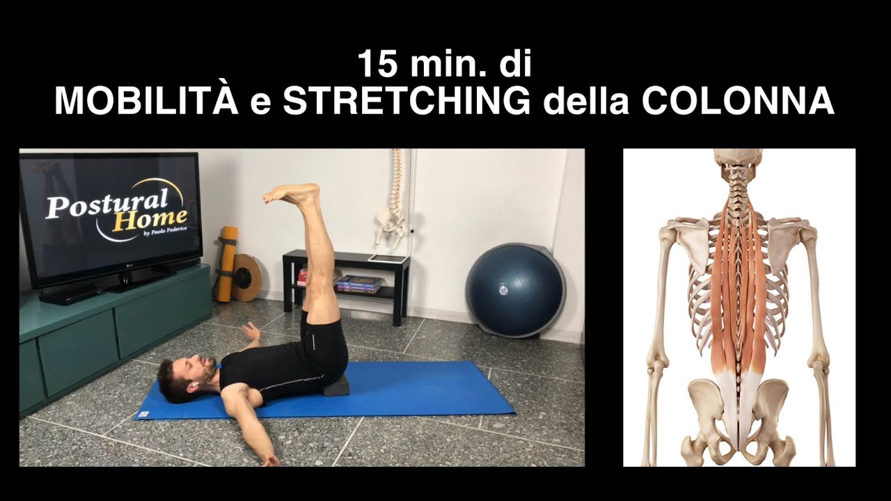 15 min  di MOBILITA' e STRETCHING della COLONNA