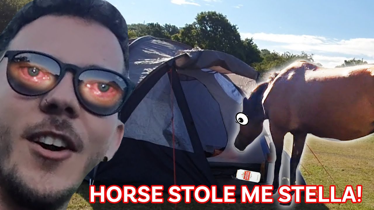 Horse Invasion On Campsite