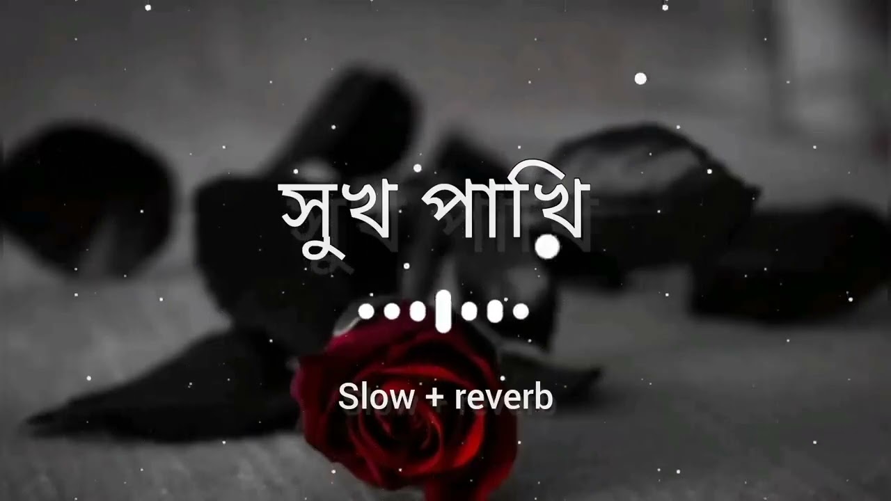 সুখ পাখি #foryou#rimix song