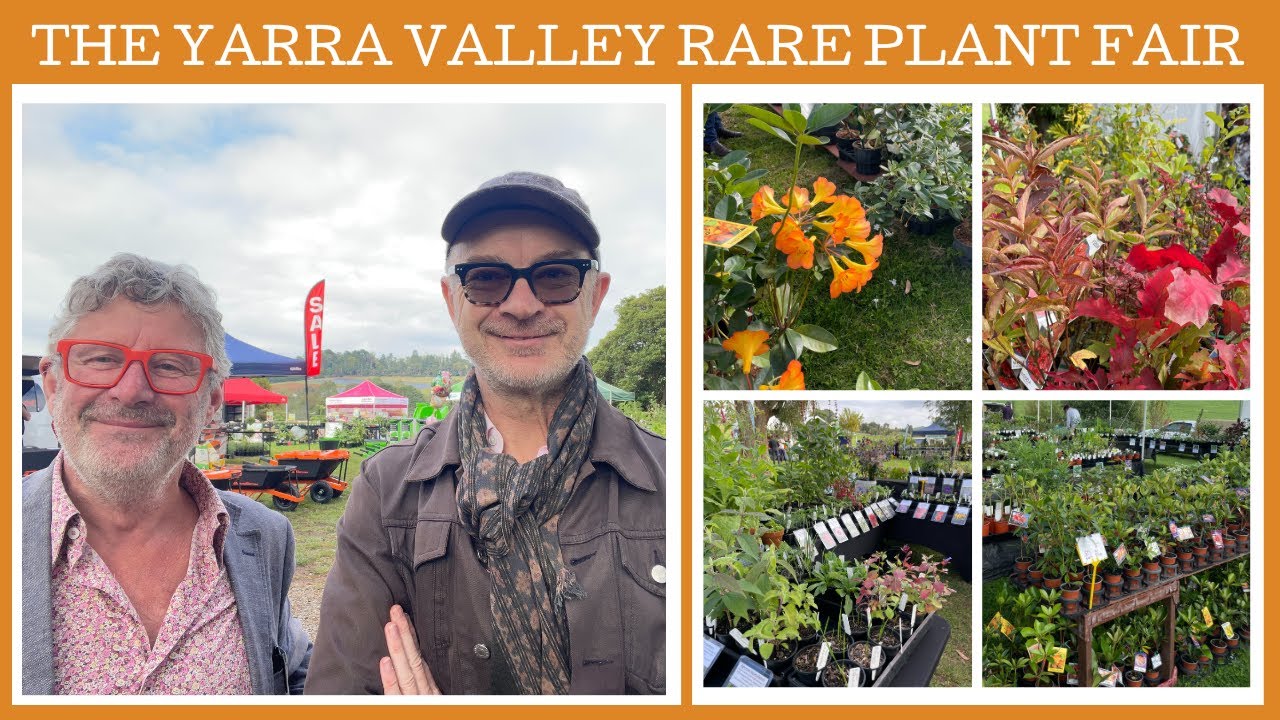 The Yarra Valley Plant Fair & Garden Expo: a great place to find rare plants!