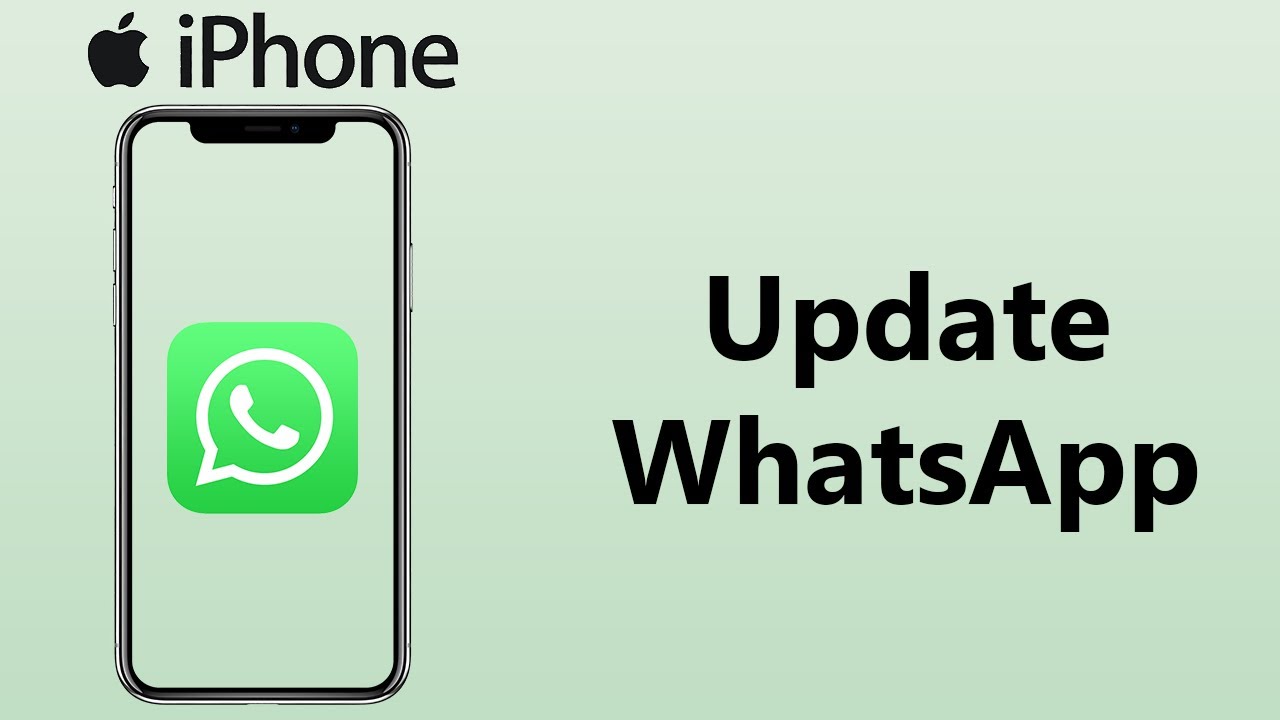 How To Update WhatsApp On iPhone