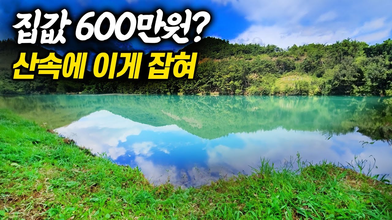 청정 저수지가 있는 마을에 매매가격 600만원짜리 집이? 맛있는 안주