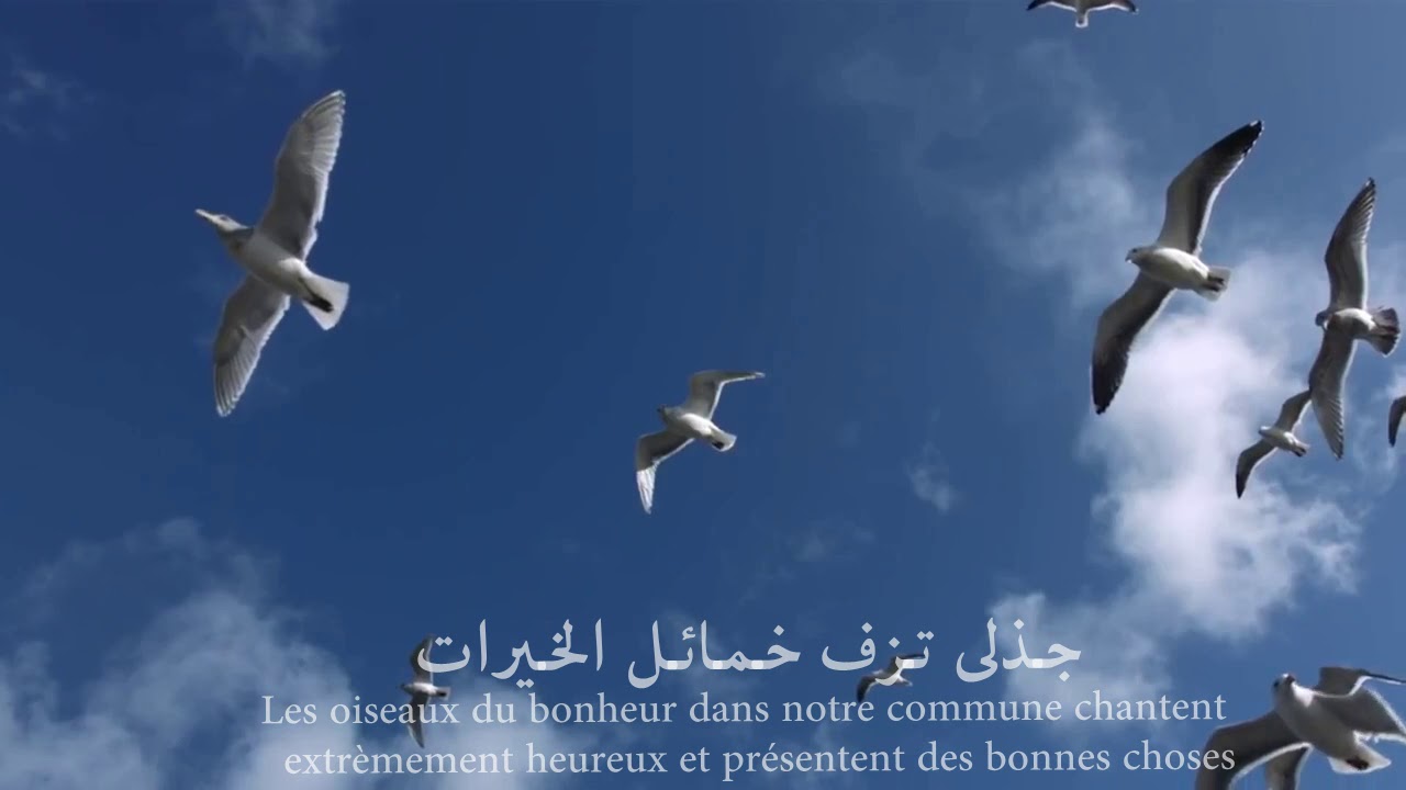خفق الفؤاد | مترجم فرنسي