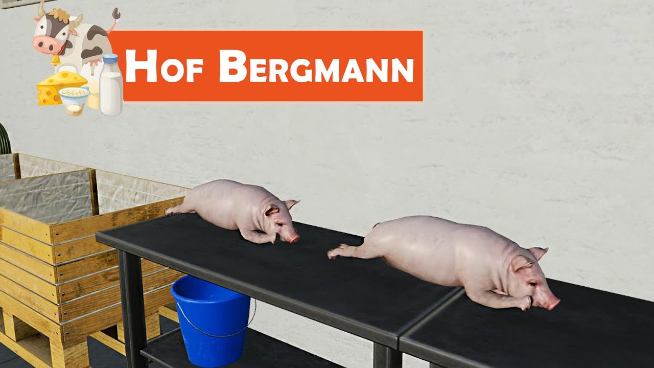 LS19 HOF BERGMANN #303: Frische Spanferkel aus der Metzgerei | LANDWIRTSCHAFTS SIMULATOR 19