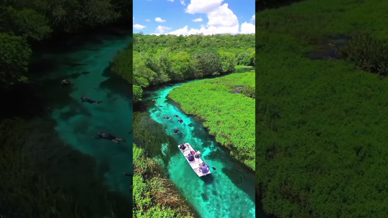 Crystal clear waters in Bonito, Mato Grosso do Sul, Brazil 🇧🇷💙