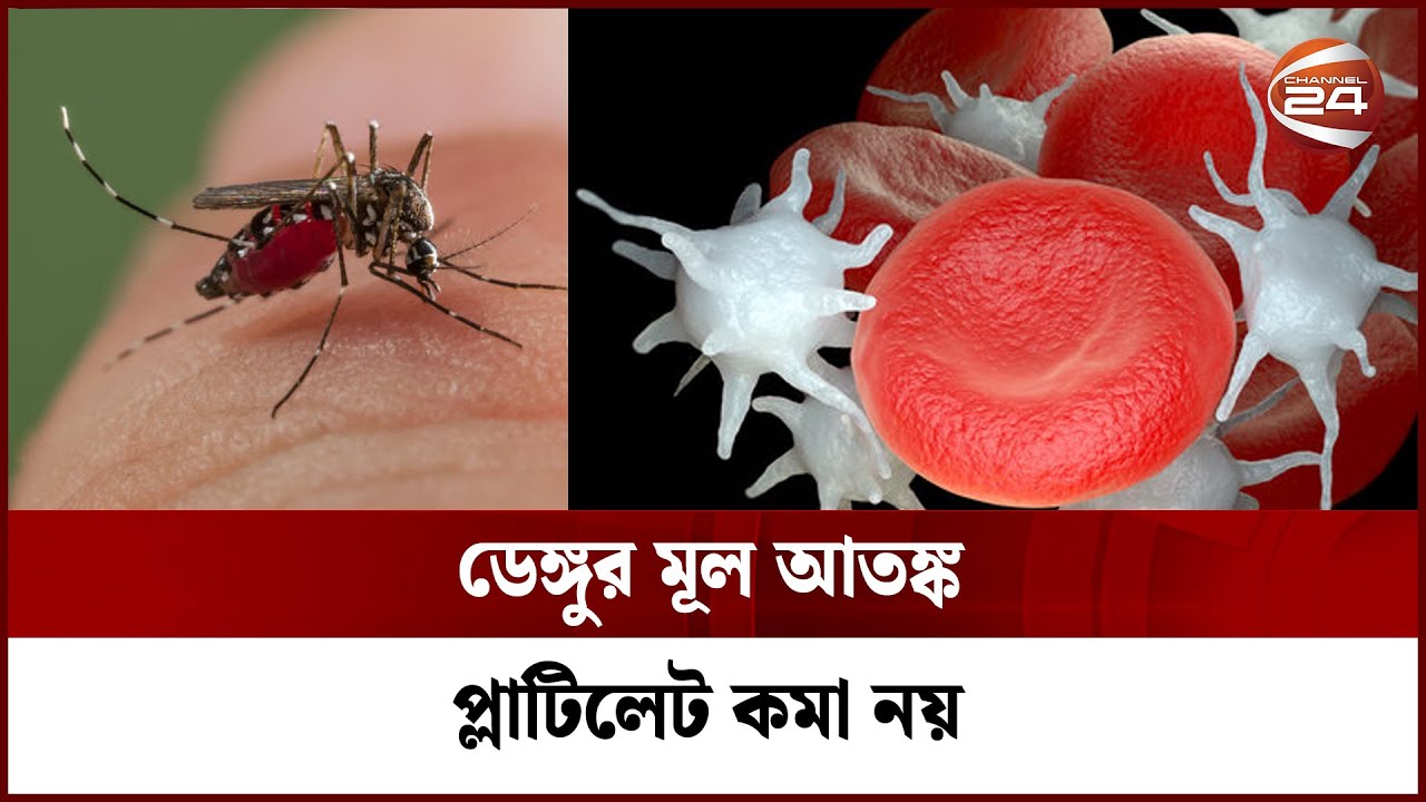 ডেঙ্গুর মূল আতঙ্ক প্লাটিলেট কমা নয় বরং অন্যকিছু | Dengue | Platelet Count | Channel 24