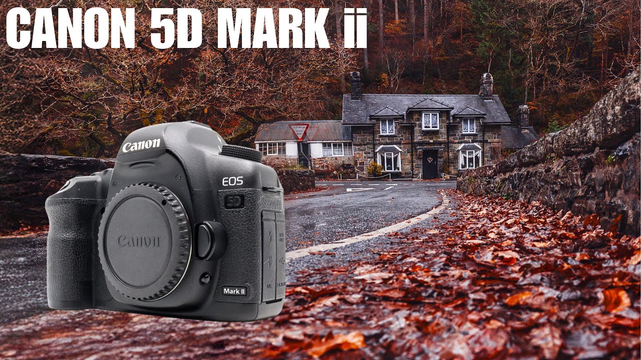 Canon 5D Mark II | Дождь преобразил мои пейзажные фотографии