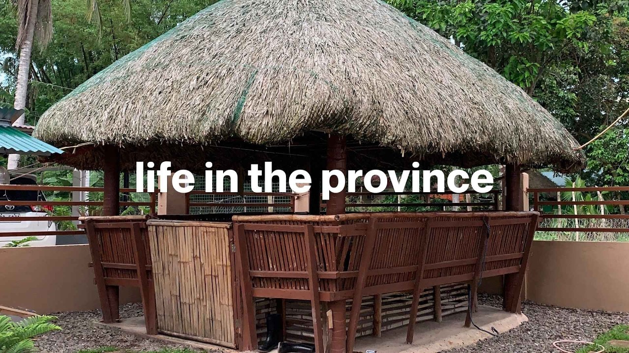 Life in the Province (Part 1) | Solo Trip, House Tour, Food Trip, etc. | Jen’s Solo Diaries