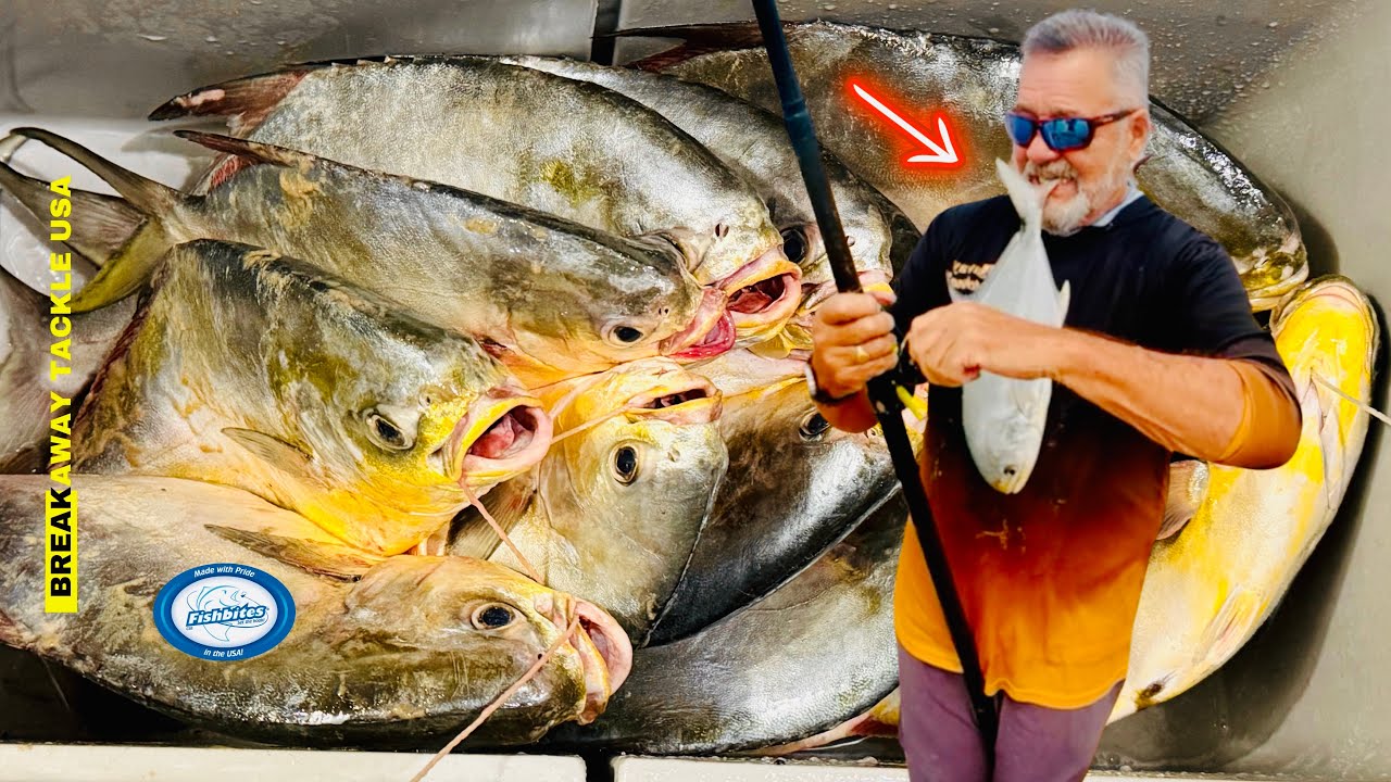 Texas Pompano Frenzy - Surf Fishing PINS