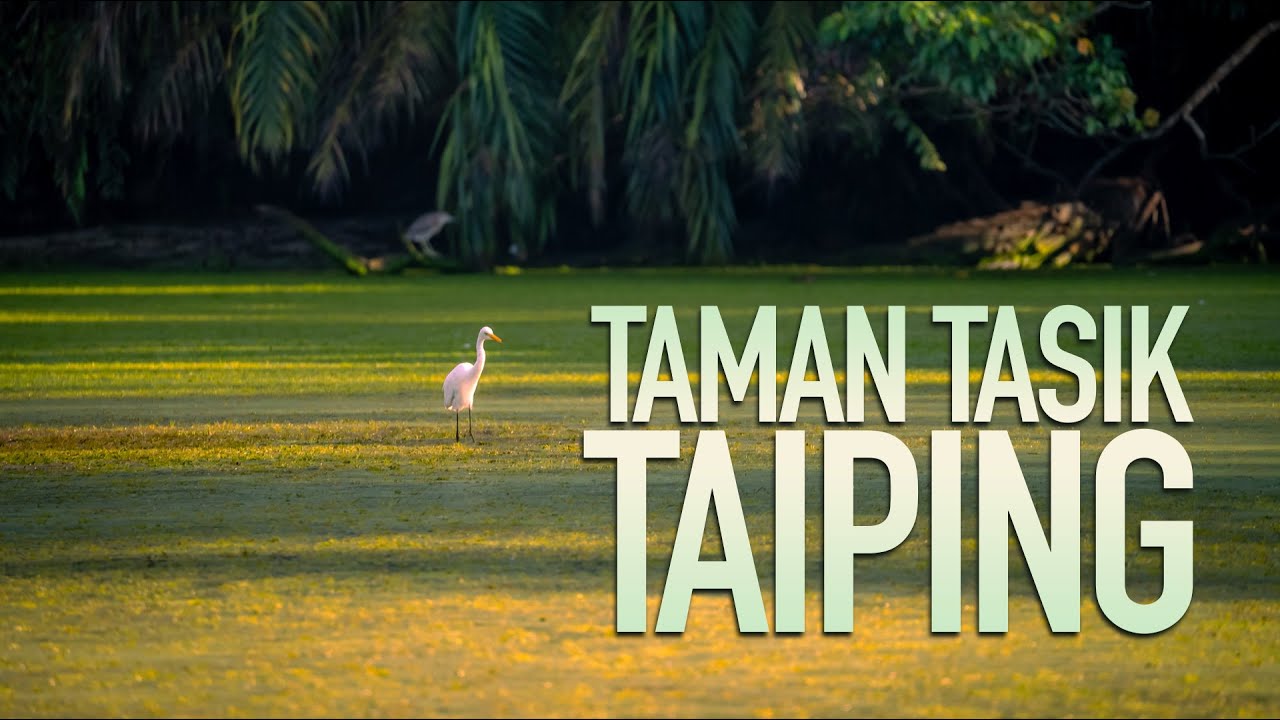 Episode 4 - Mengayuh Ke Taiping dan Melawat Taman Tasik Taiping, Taman Tasik Tercantik Di Malaysia