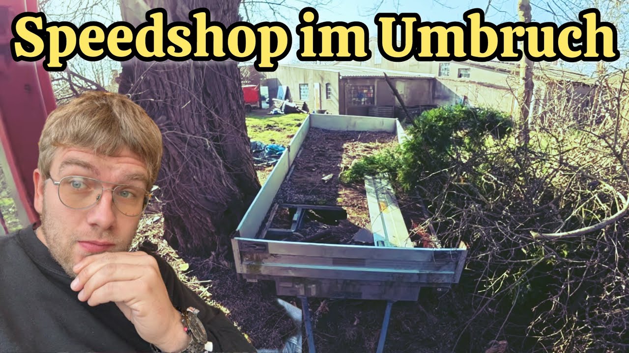 Gibt es Bald ein neues Museum in Hooksiel? & Wir f&auml;llen einige B&auml;ume