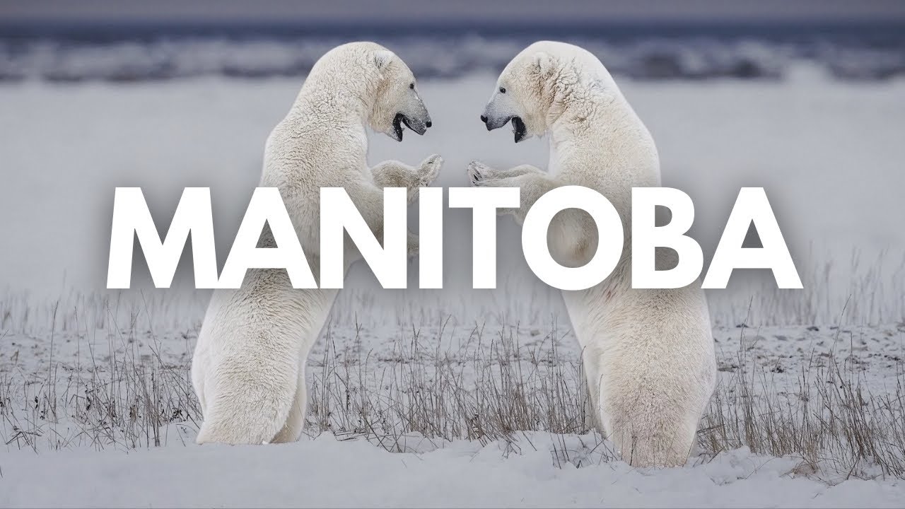 Manitoba Travel Documentary | From Winnipeg to Polar Bears & Northern Lights | Canada