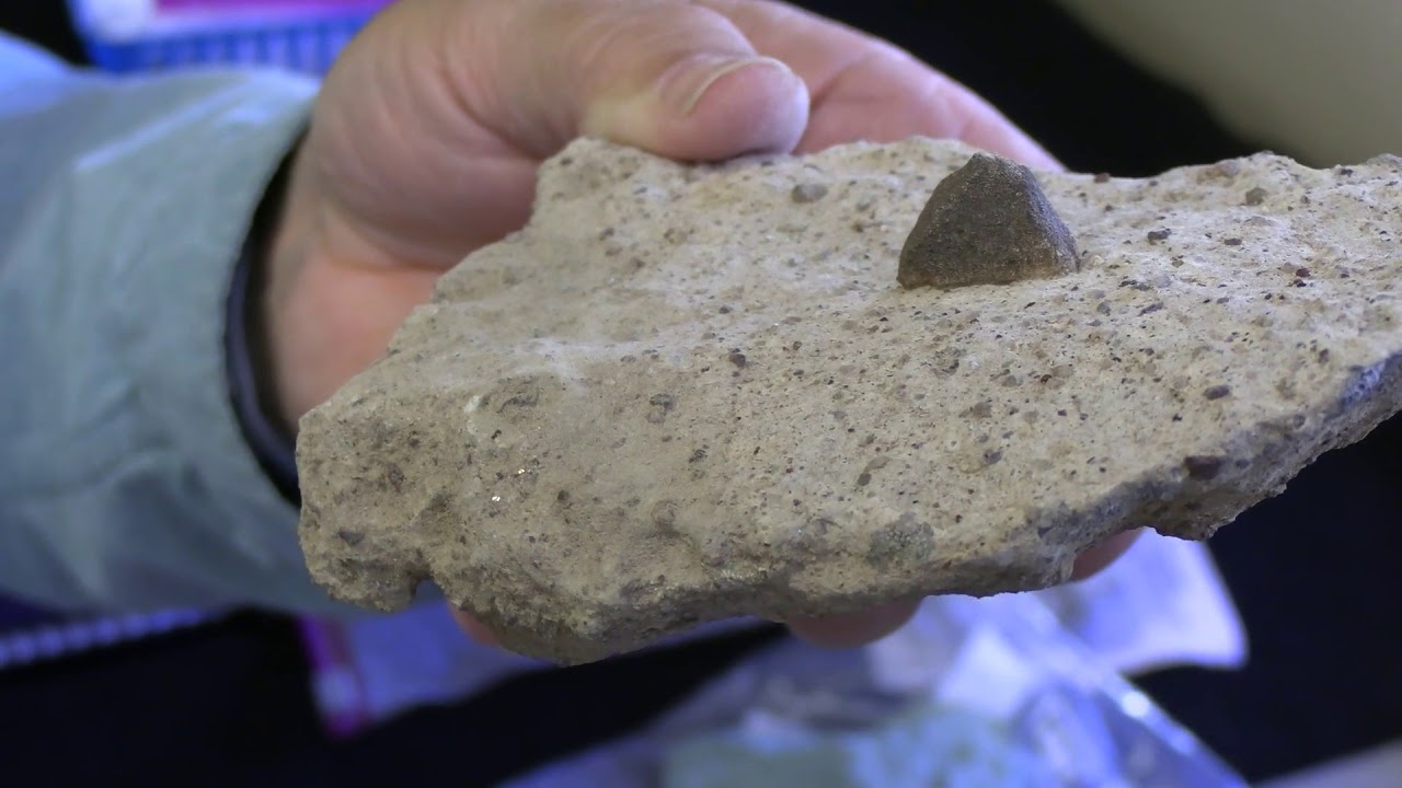 Volcanic Tuff and Cat