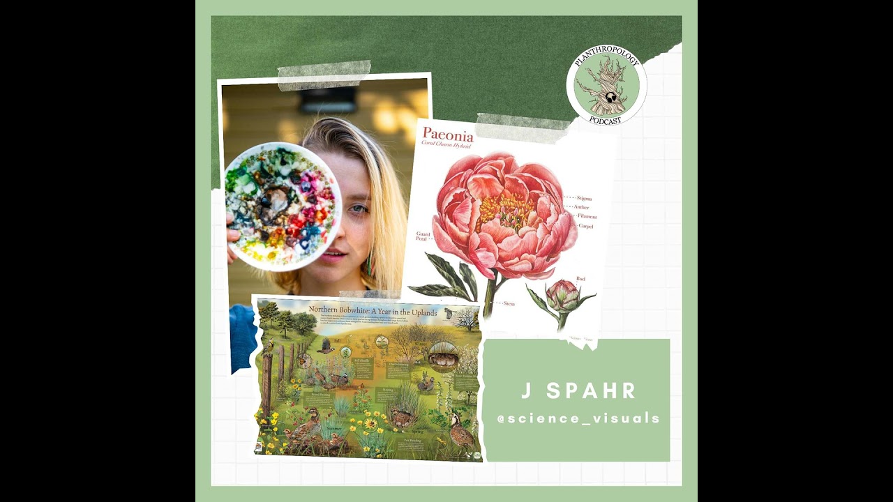 126. Science Illustration, AI Cardinals, and Frozen Asters w/ J. Spahr