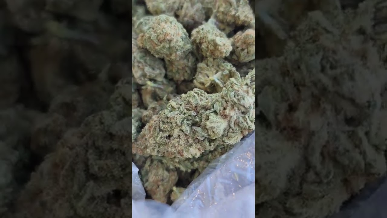 Banana OG 🍌