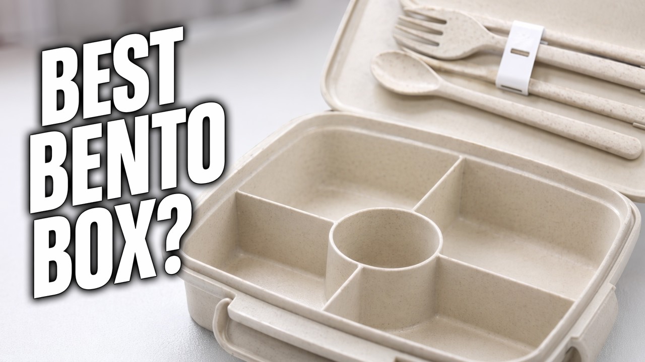 Reusable Stylish Bento Lunch Box by BriGenius Review