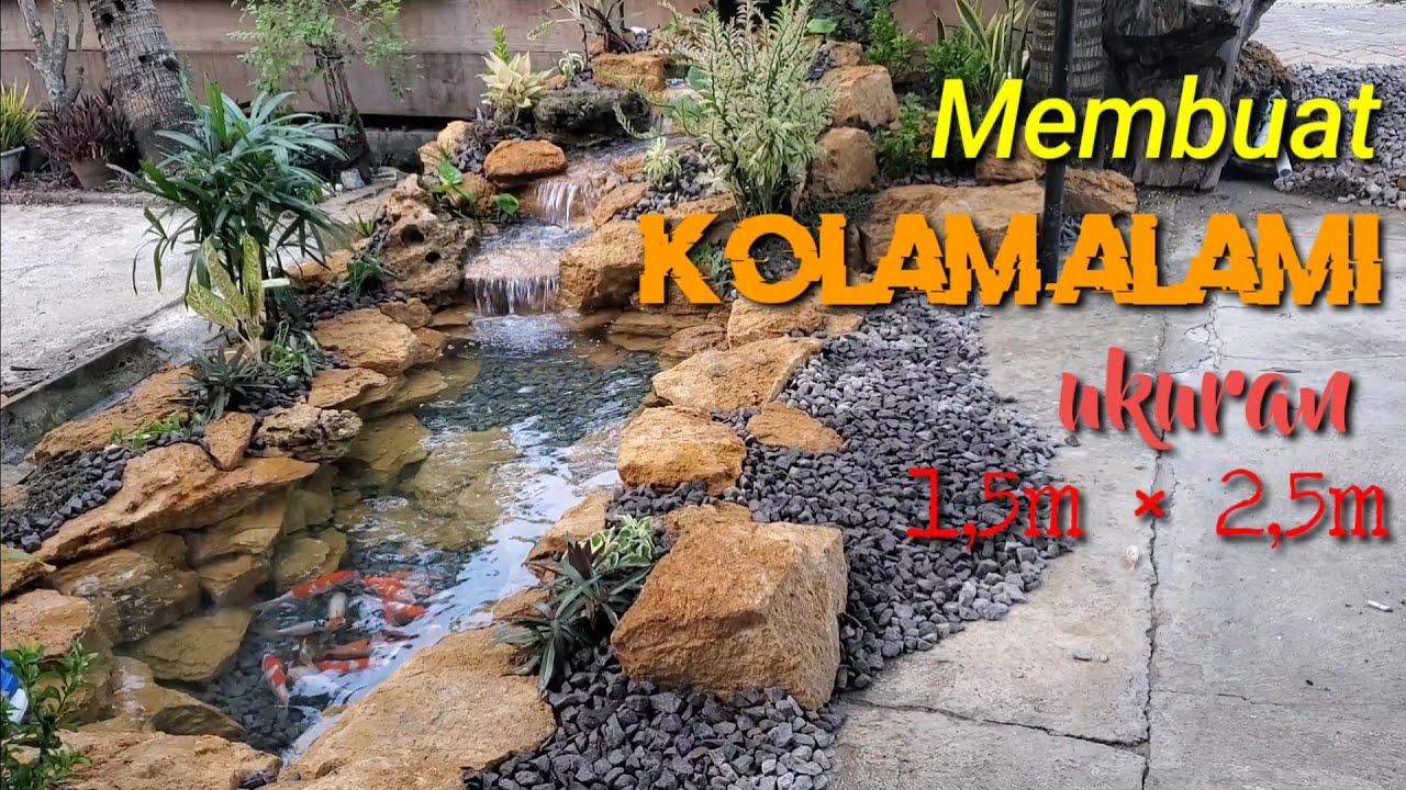 Membuat kolam natural ukuran kecil di depan rumah