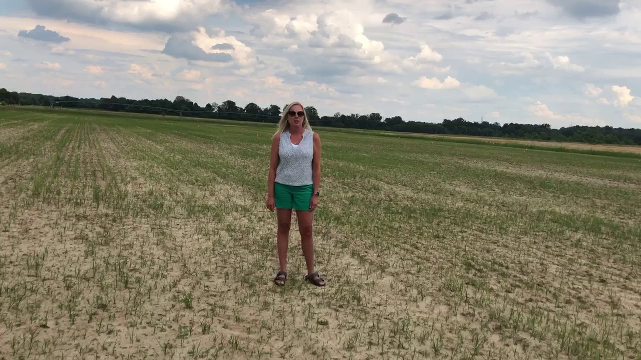 New Crops Added to Insights Engine in 2020 | Truterra