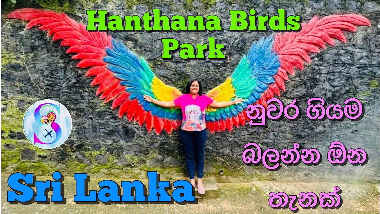 Sri Lanka 🇱🇰 Hanthana intentiona birds park Kandy visit 2026 