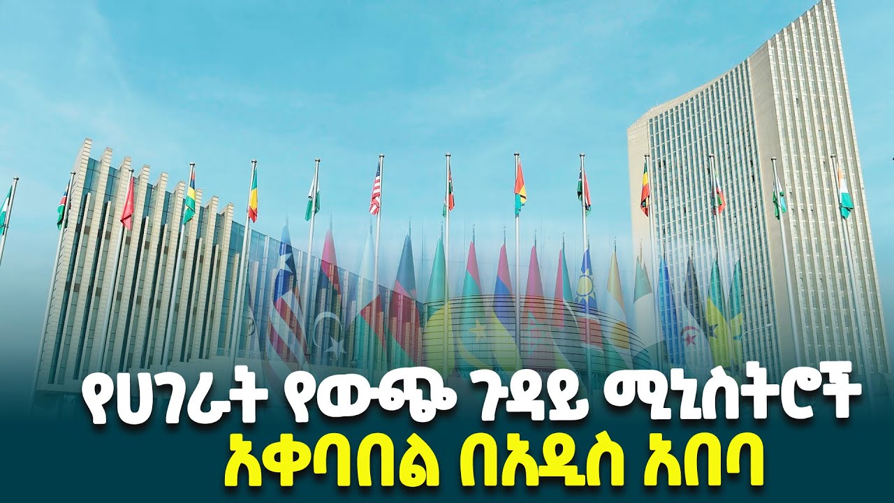 ለ48ኛው የአፍሪካ ሕብረት የሥራ አስፈፃሚ ምክር ቤት መደበኛ ስብሰባ ተሳታፊዎች አቀባበል በአዲስ አበባ @ethiopiannewsagency