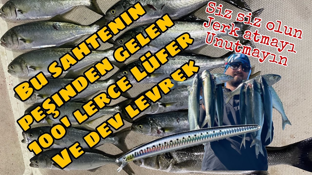 BİR SAHTENİN PEŞİNDE YÜZLERCE LÜFER VE DEV LEVREKLER..