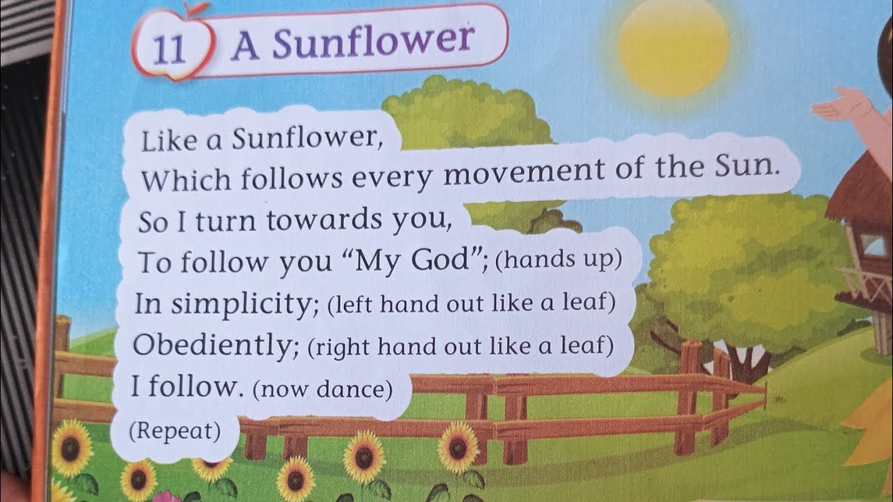 A SUNFLOWER🌻 POEM #poem #poetry #jrkg #learning @farhanaamairaKhan
