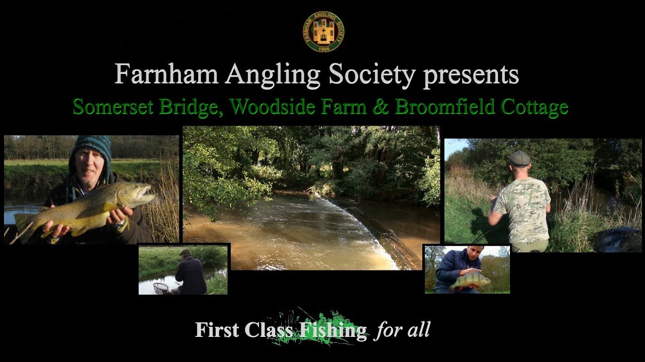 Farnham Angling Society River Wey Elstead