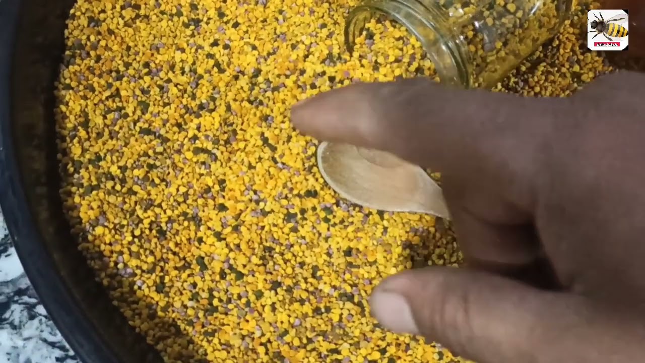 فوائد حبوب اللقاح أو حبوب الطلع لصحة الانسان و طرق تناولها