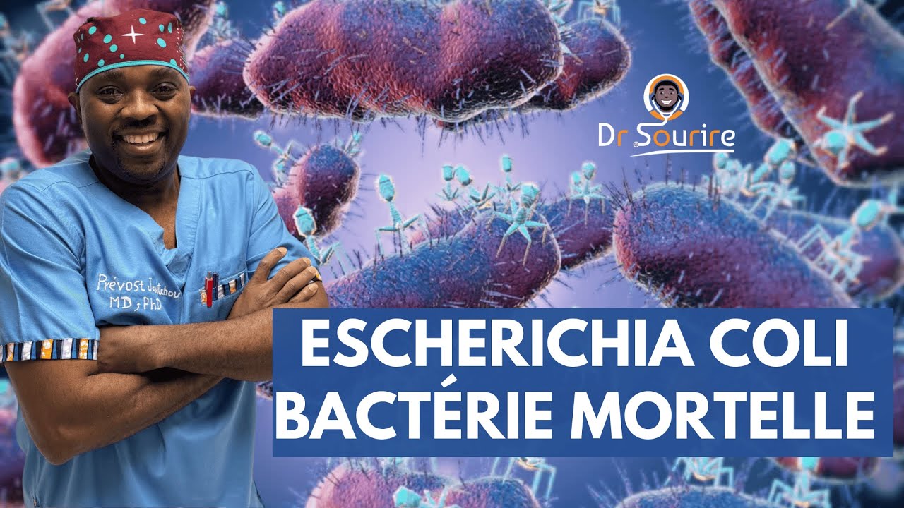 #Escherichia-coli : cette bactérie joue un double rôle dans notre santé