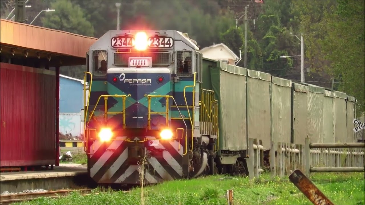 🟢⚠️FEPASA PASANDO POR LA EX ESTACION DE PENCO CON LA LOCOMOTORA 2344 ‼️‼️
